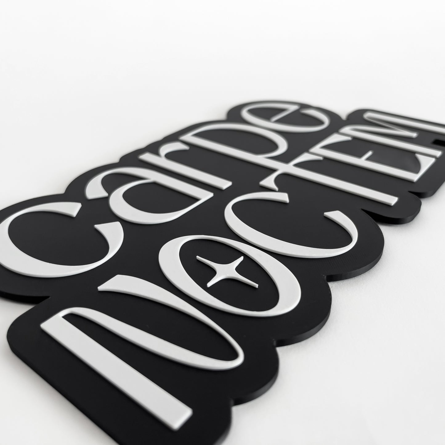 Carpe Noctem - Photo Booth Prop, Halloween Themed, Black & White Sign